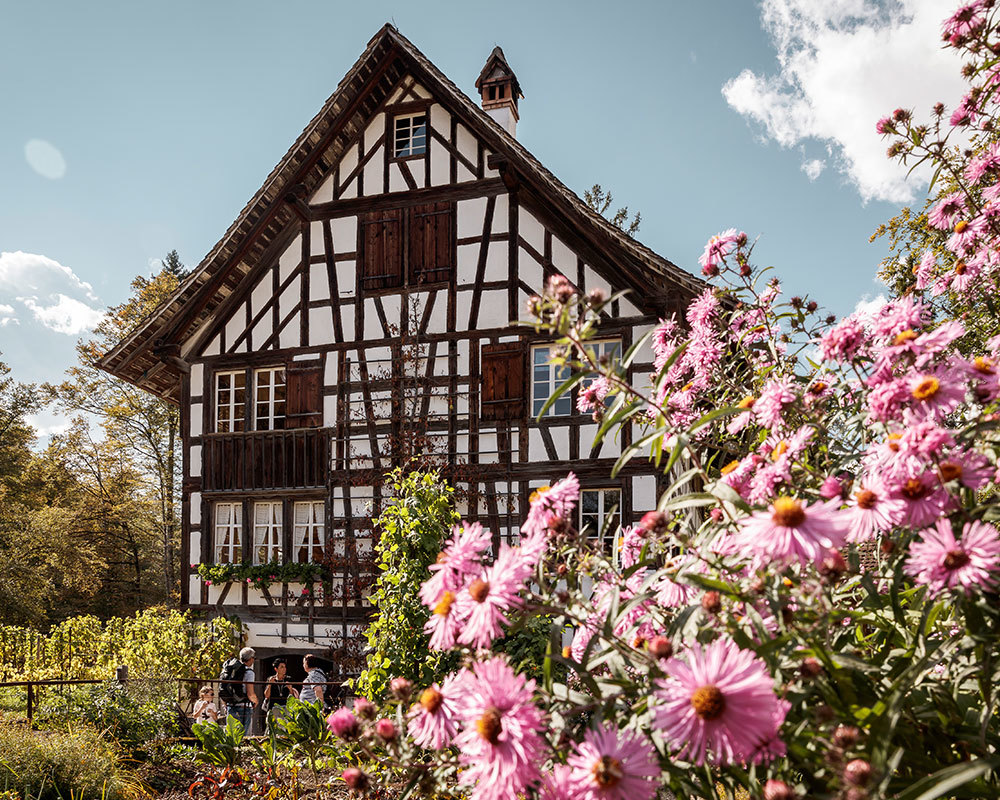 Musée en plein air de Ballenberg