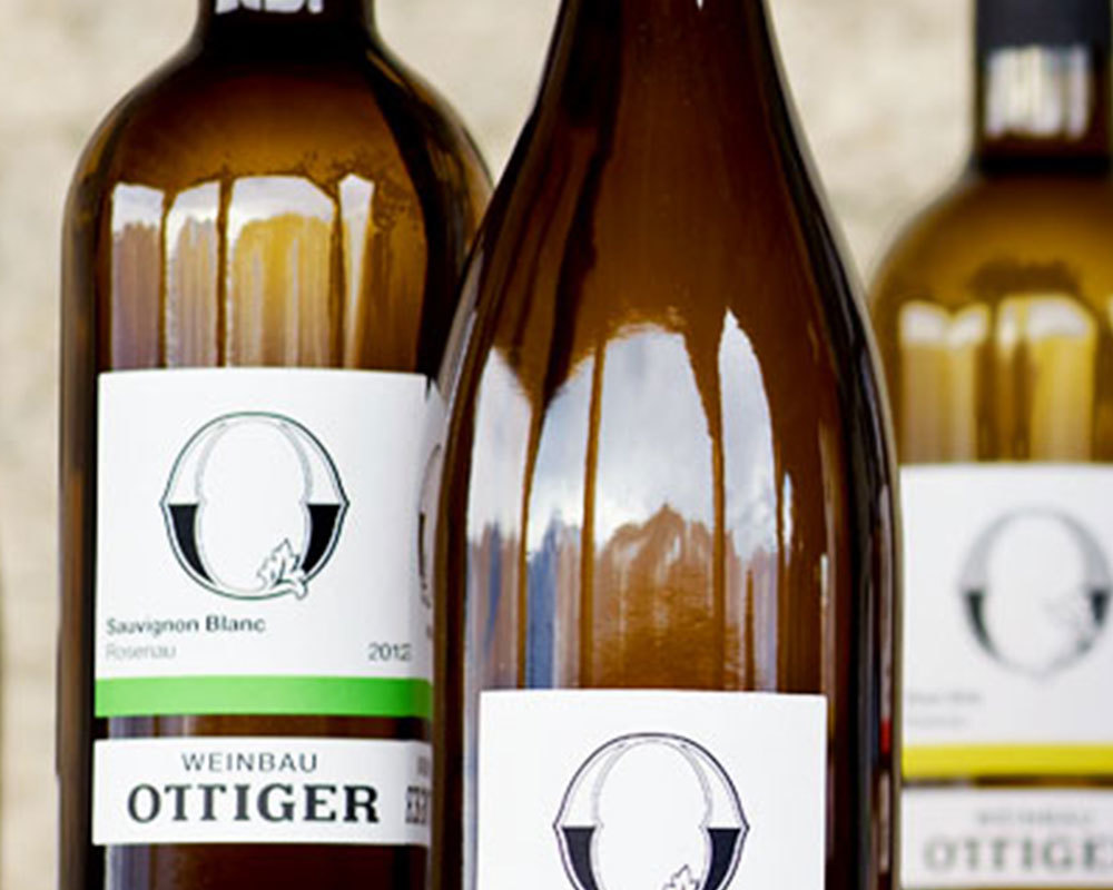 Visite du domaine viticole avec dégustation de vins